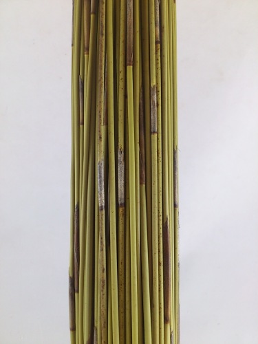 Koffieriet naturel 400 gr. 80 cm. lang